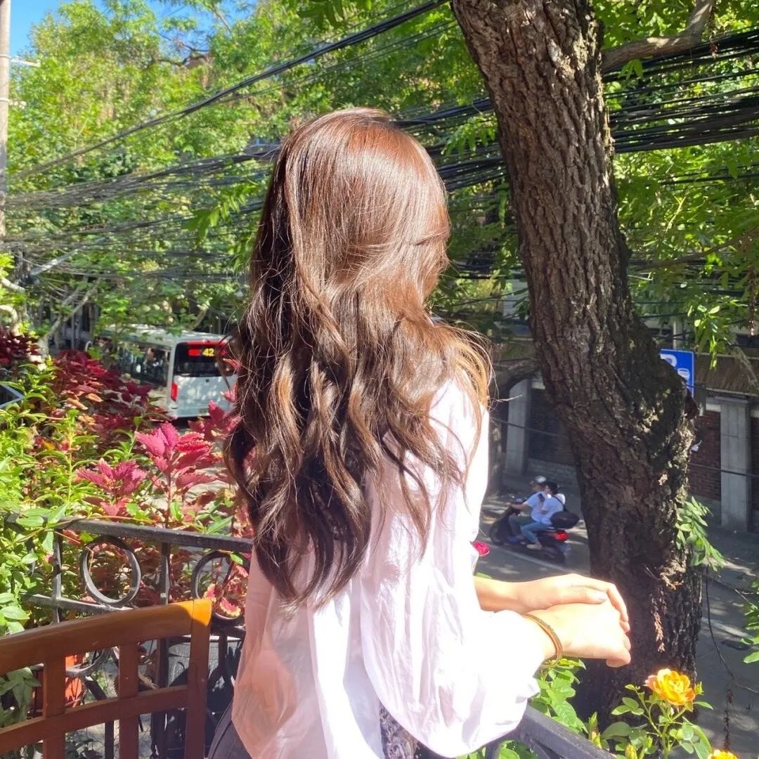 好莱坞狗日子